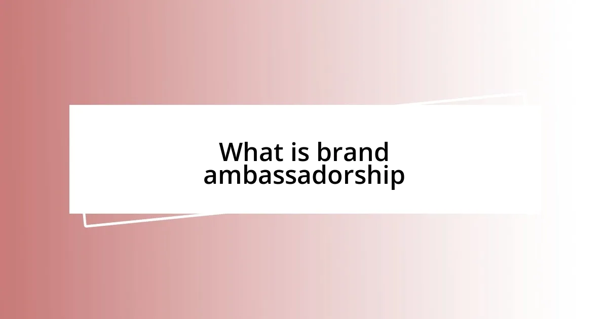 What is brand ambassadorship