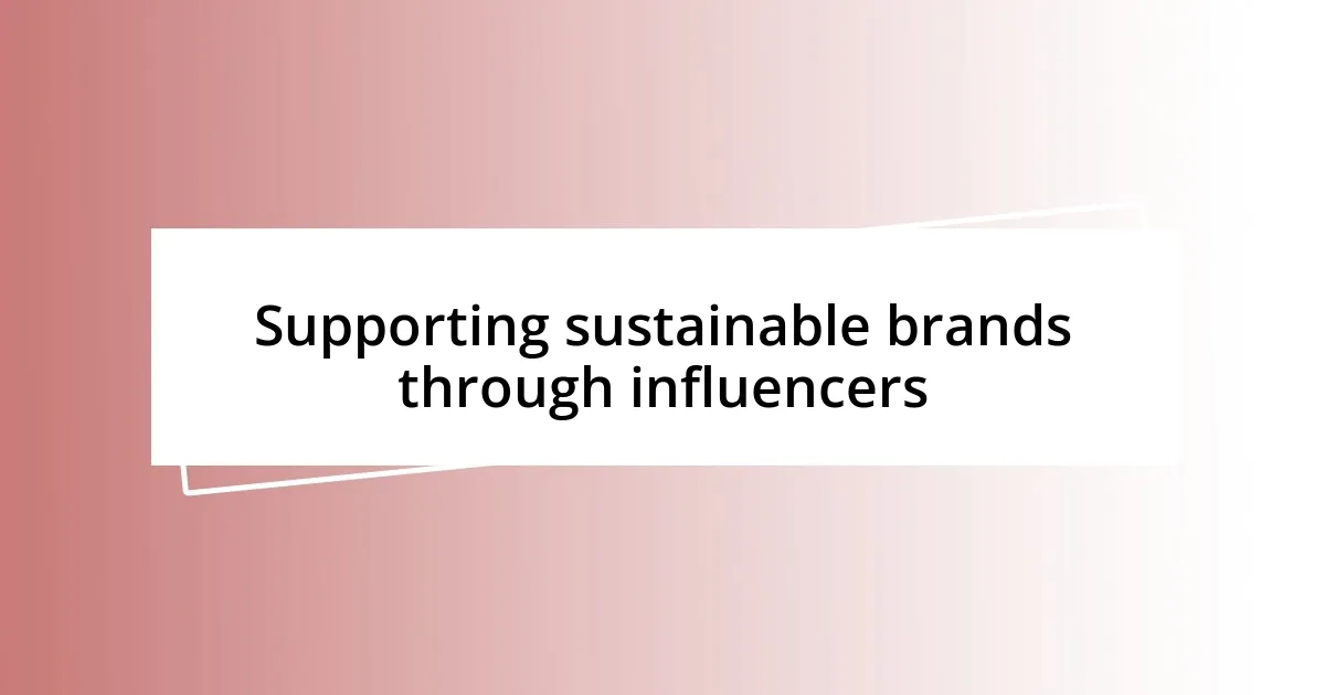 Supporting sustainable brands through influencers