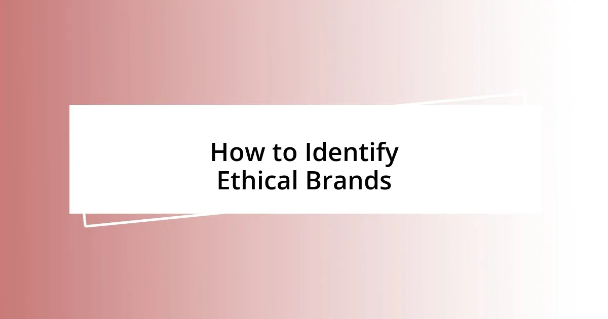 How to Identify Ethical Brands