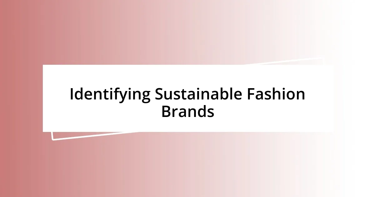 Identifying Sustainable Fashion Brands